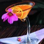 Bravura kieliszek do martini 200 ml (LB-7700-12) - zdjęcie