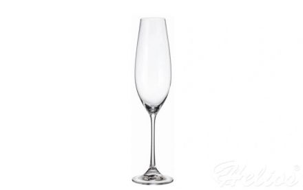 Kieliszki do szampana 260 ml - Columba (022356) - zdjęcie główne