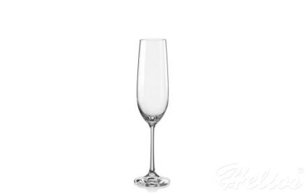 Kieliszki do szampana 190 ml - Viola (018447) - zdjęcie główne
