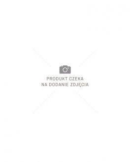 Apple iMac 24 4,5K Retina M4 10/10 Core 16GB 512GB niebieski - zdjęcie główne