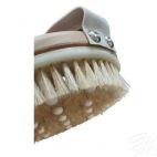 Szczotka antycelulitowa (5/090) - zdjęcie