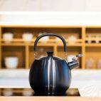 Czajnik 2,5 l z gwizdkiem / grafitowy mat - Bolla (8654) - zdjęcie