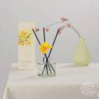 Dyfuzor zapachowy DAFFODIL 120 ml - VANILA&SANDALWOOD (9809926670) - zdjęcie