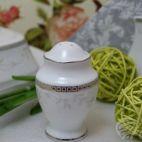 Solniczka - B601 ASTRA - zdjęcie