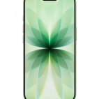 Apple iPhone 17 256GB - Szałwia - zdjęcie