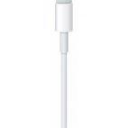 Przewód do iPad/iPhone Apple Lightning/ USB - biały - zdjęcie 
