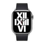 Pasek Apple 38/40/41 z nowoczesną klamrą - Północ - zdjęcie