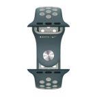 Pasek do Apple Watch 38/40/41 mm silikonowy Nike+ - Hasta/Light Silver - zdjęcie