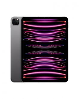 Apple iPad Pro 11 M2 128GB Wi-Fi + Cellular gwiezdna szarość - zdjęcie główne