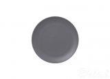 Neofusion Talerz płaski 24 cm szary (NFNNPR24GY)
