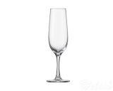 Congresso Kieliszek do szampana 235 ml (SH-8608-7-6)