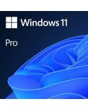 Oprogramowanie Windows 11 Pro OEM PL 64 bit